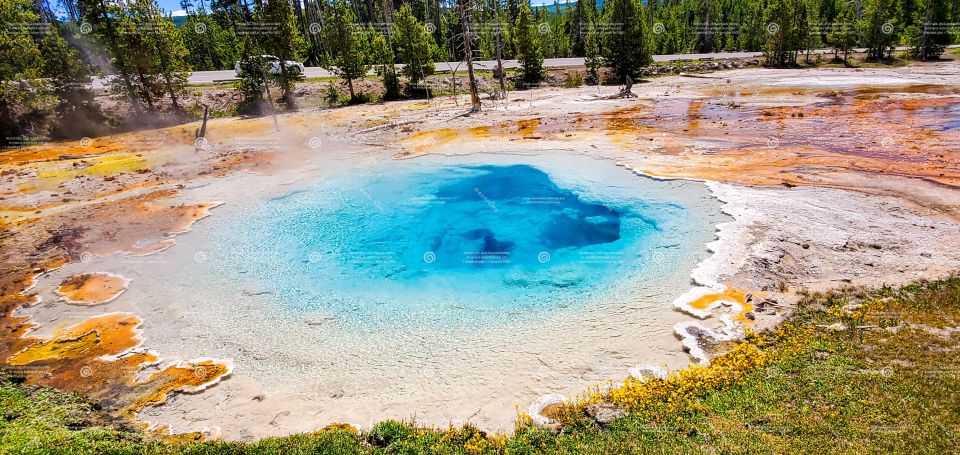 From Bozeman: Yellowstone Full-Day Tour With Entry Fee - Inclusions and Itinerary