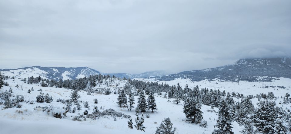 From Gardiner: Yellowstone National Park Snowshoe Tour - Frequently Asked Questions