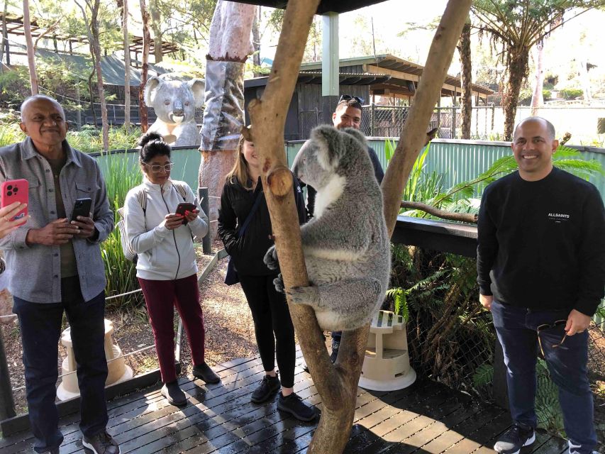 From Haymarket: Hunter Valley Wine and Wildlife Day Trip - Frequently Asked Questions