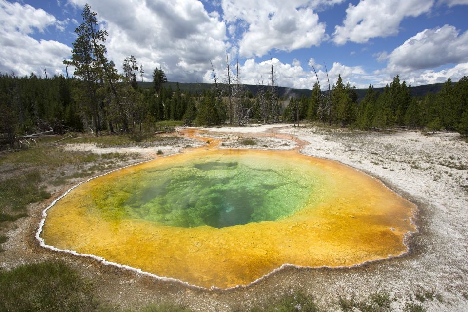 From Jackson: Yellowstone National Park Day Trip With Lunch - Pricing and Inclusions