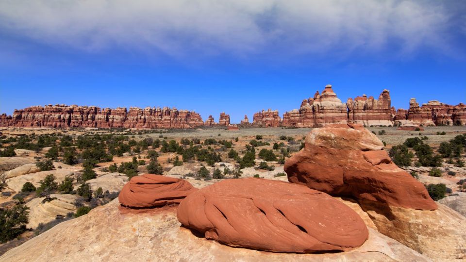 From Moab: Canyonlands Needle District 4x4 Tour - Pickup and Drop-off Service