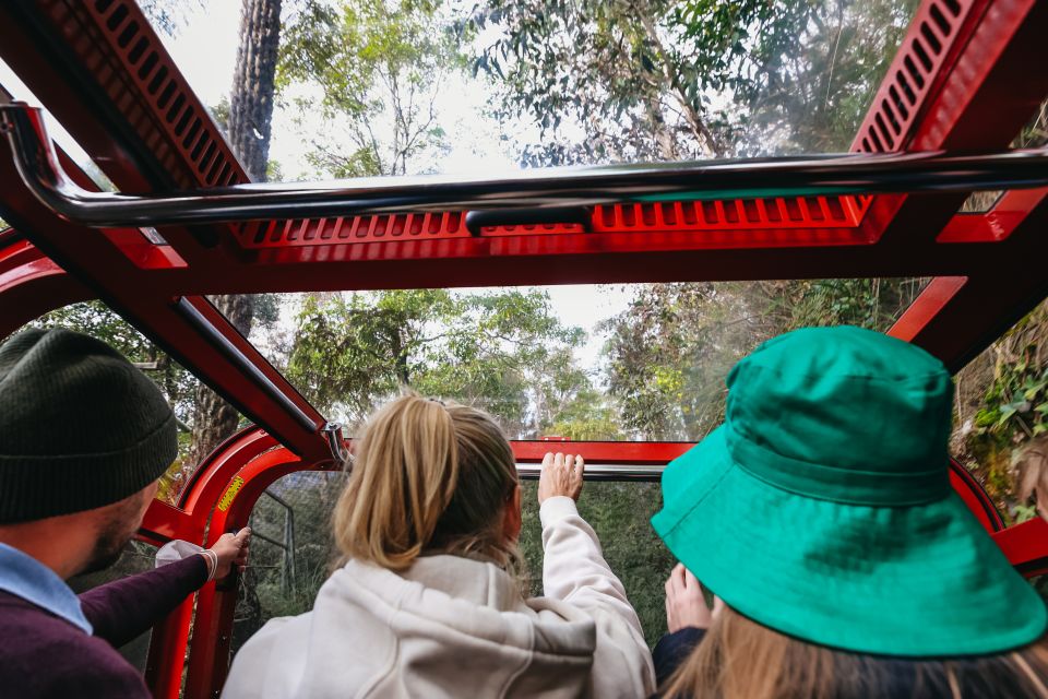 From Sydney: Blue Mountains, Scenic World All Inclusive Tour - Traveler Types