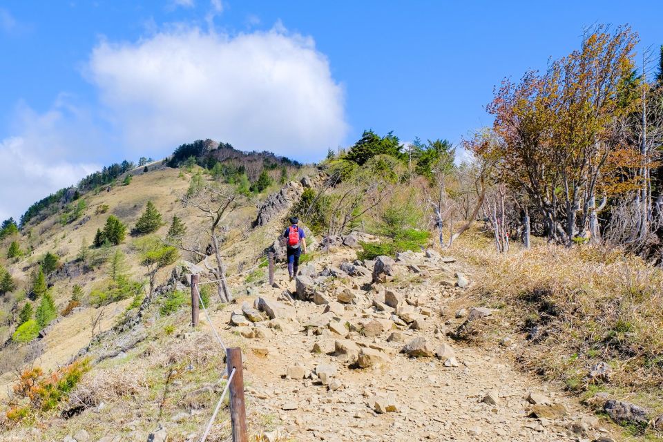 From Tokyo. Private Treckin Tours in Japans Great Outdoors. - Scenic Views