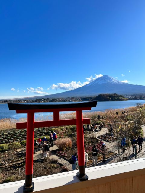 From Tokyo/Yokohama: Private Day Trip to Mt Fuji and Hakone - Marveling at Owakudani Valley