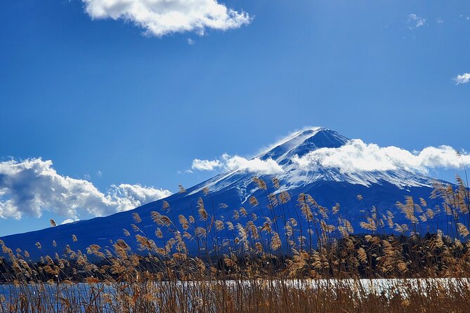 Full Day Mount Fuji Private Tour With English Speaking Guide - Reviews