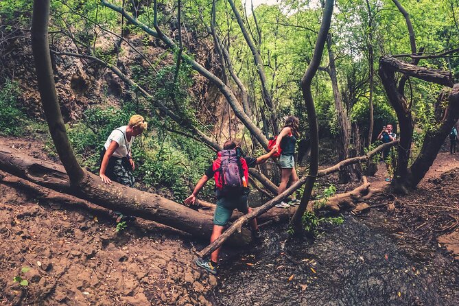 Full Day Rainforest Tour With Tasting and Swimming Time - Unique Locations Visited