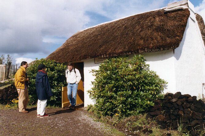 Full-Day Ring of Kerry Tour From Killarney - Recap