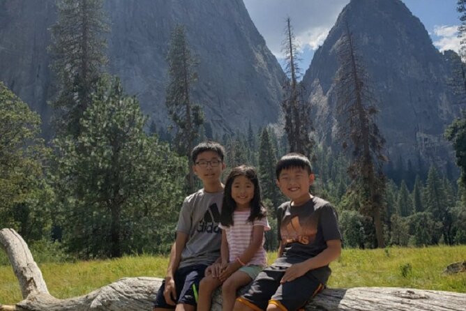 Full-Day Small Group Yosemite & Glacier Point Tour Including Hotel Pickup - Traveler Reviews and Ratings