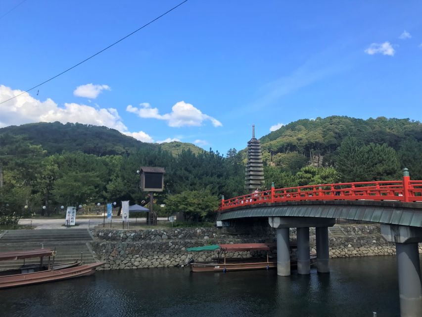 Green Tea Tour With Byodoin and Koshoji Temple Visits - Ujis Tea Production Culture