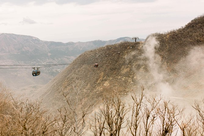 Hakone Private Two Day Tour From Tokyo With Overnight Stay in Ryokan - Transportation Details