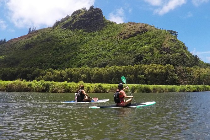 Half-Day Kayak and Waterfall Hike Tour in Kauai With Lunch - Visitor Reviews