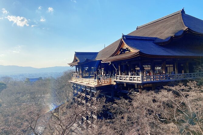 Hidden Gems, Kiyomizu-Temple and Fushimi-Inari Half Day Private - Recommended Attire and Preparation