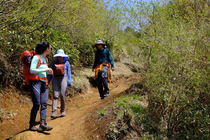 Hike the Outer Rim of Hakone Caldera and Enjoy Onsen Hot Spring Tour - Onsen Hot Spring Experience