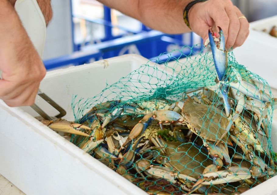 Hilton Head Island: Crabbing Expedition Boat Tour - Crabbing Techniques