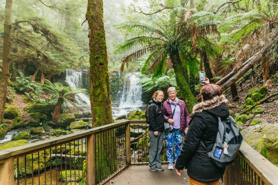 Hobart: Mt Wellington, Mt Field, Bonorong and Richmond Trip - Traveler Experiences
