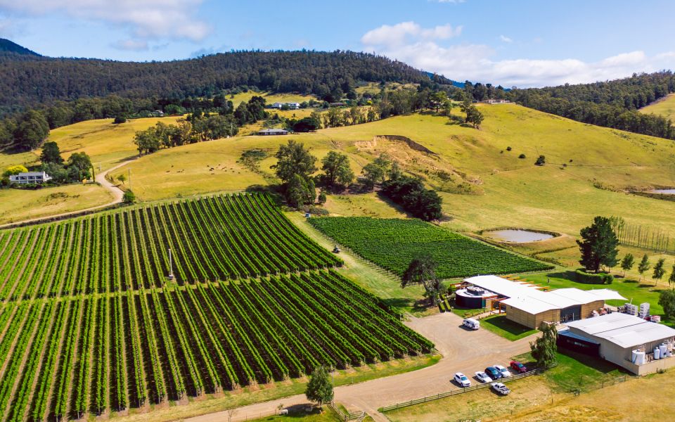 Hobart: Top Tasmanian Wineries Day Tour With Tastings - Restrictions
