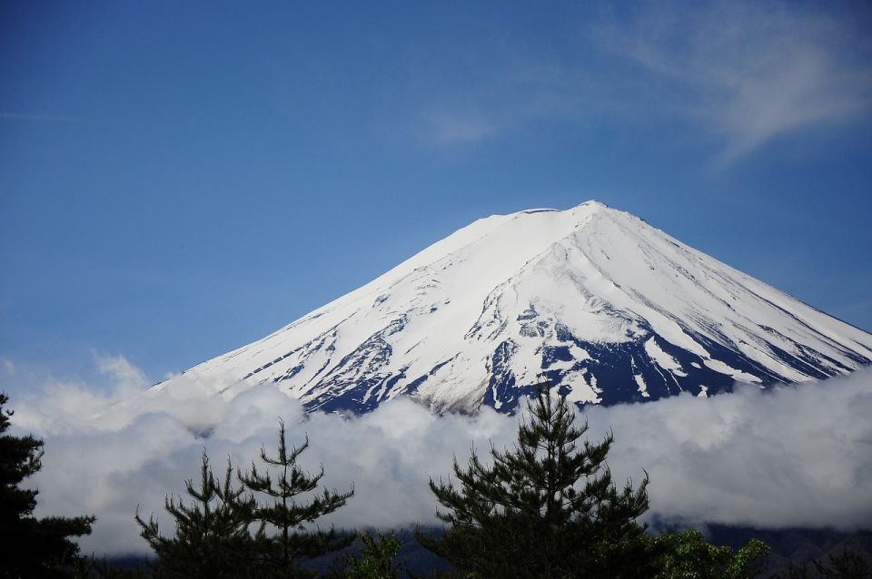 Kanto 10-Hour Chartered Day Trip | Mt. Fuji Day Trip - Multi-day Trip Accommodation