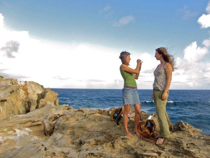 Kauai: Private Tortoises, Caves, and Cliffs South Shore Hike - Reviews and Testimonials