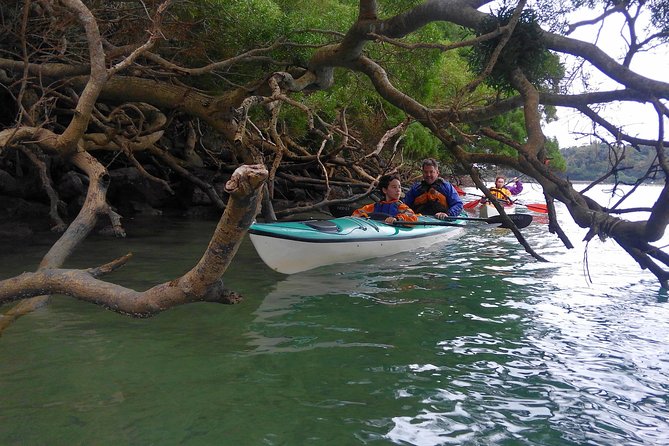 Kayak Mangroves or Coral Reef: Private Tour in North Okinawa - Meeting Point and Start Time