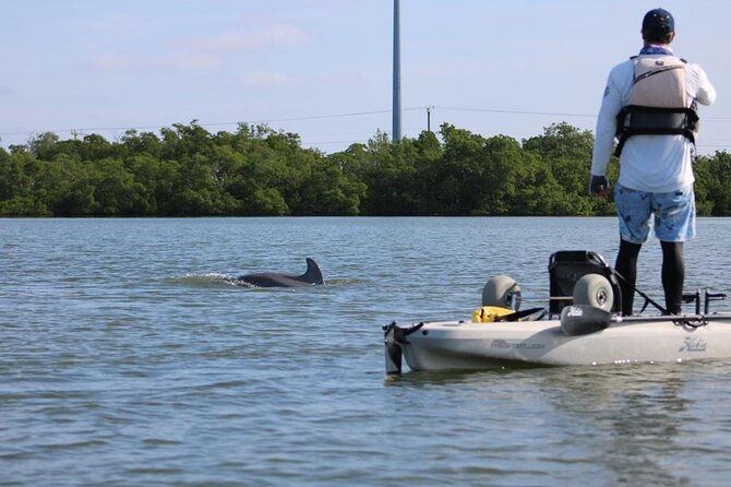 Kayak Tour Adventure Marco Island and Naples Florida - Frequently Asked Questions
