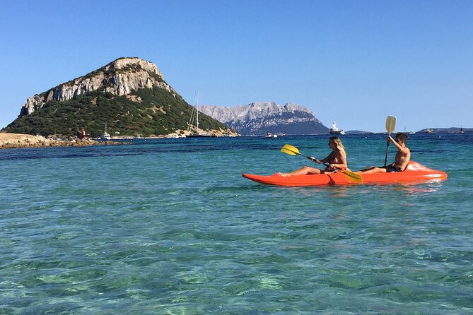 Kayak Tour With Aperitif and Dolphins - Cala Moresca and Figarolo Island