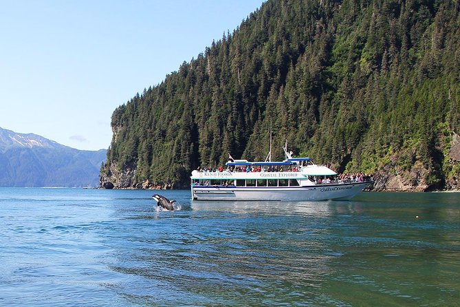 Kenai Fjords National Park Cruise From Seward - Tips for a Great Experience