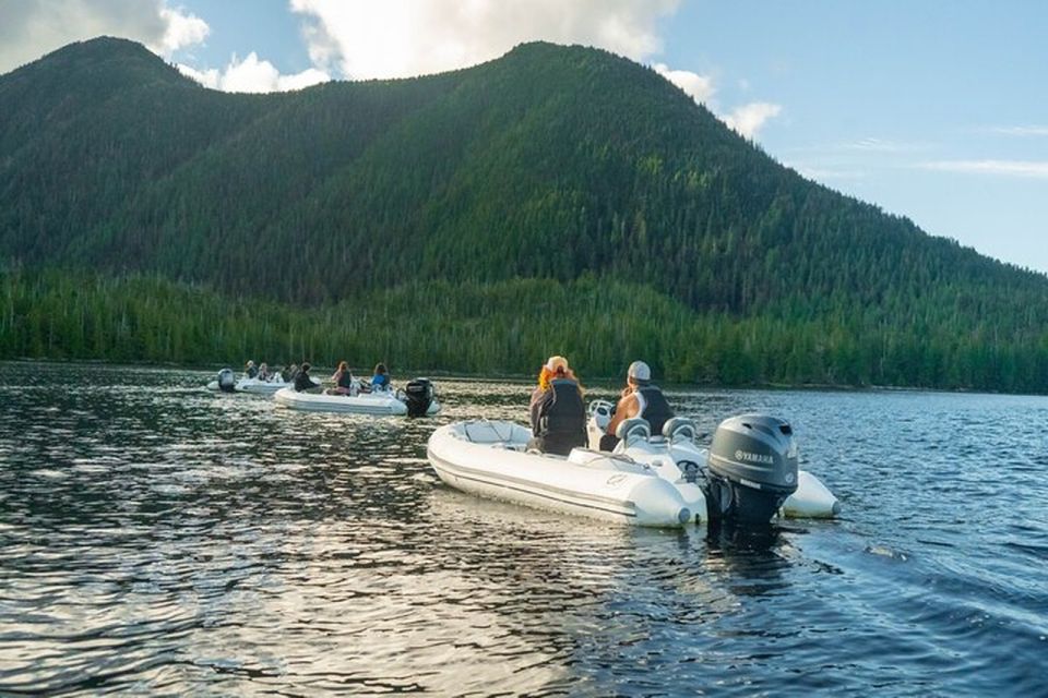 Ketchikan: Private Scenic Drive & George Inlet Fjords Cruise - Observing Alaskan Wildlife