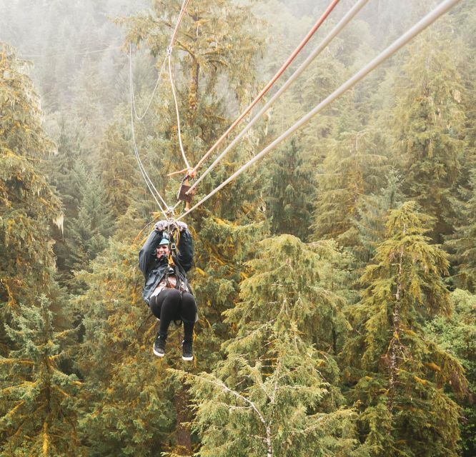 Ketchikan: Rainforest Zipline, Skybridge, & Rappel Adventure - Customer Review and Recommendation