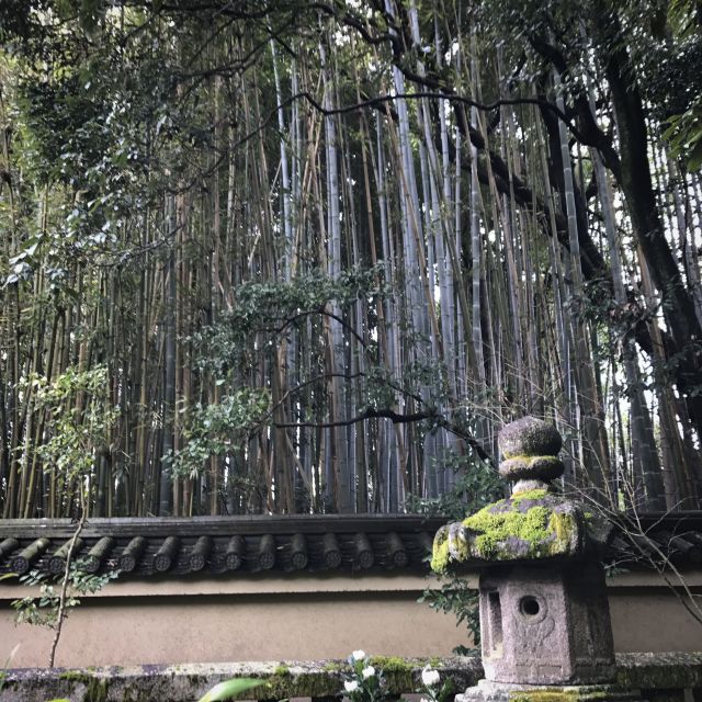Kyoto: City Secrets Ebike Tour - Tour Inclusions