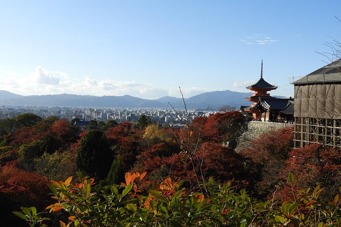 Kyoto Full Day (8 Hours) Sightseeing Privatetour - Inclusions and Exclusions
