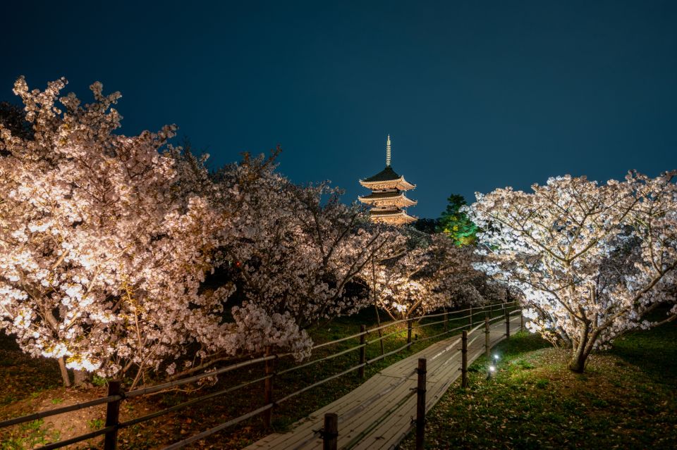 Kyoto: Ninnaji Temple Entry Ticket - Omuro Sakura Cherry Blossoms