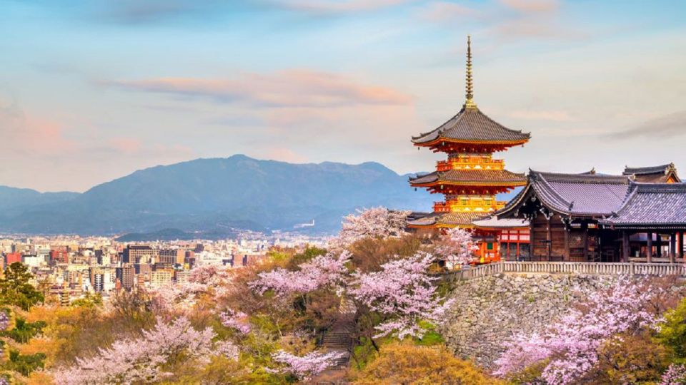 Kyoto/Osaka: Kyoto and Nara UNESCO Sites & History Day Trip - Nara Park