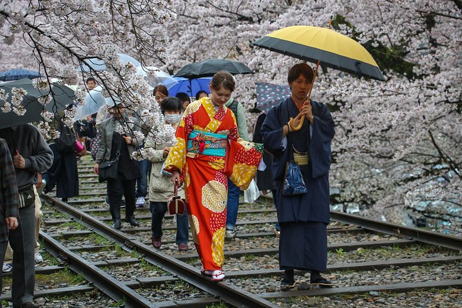 Kyoto Private Tour With a Local: 100% Personalized, See the City Unscripted - Transportation Options