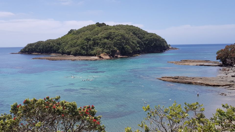Leigh: Goat Island Guided Snorkeling Tour for Beginners - Safety and Equipment