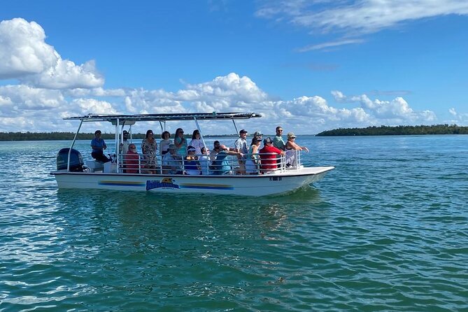 Marco Island Dolphin Sightseeing Tour - Booking Information