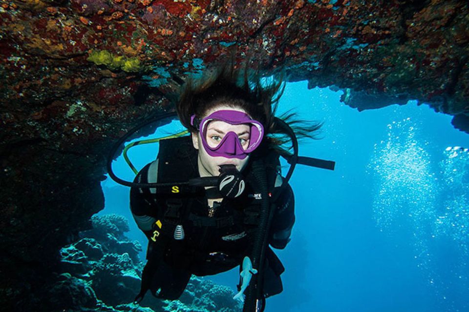 Maui: Beginner Discovery Scuba Dive Excursion From Lahaina - Medical Waiver and Certification
