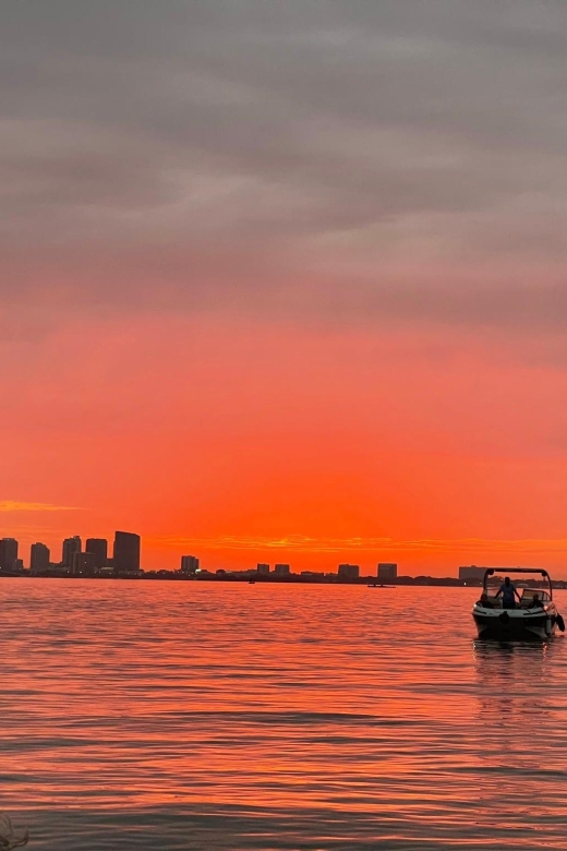 Miami Beach: Spectacular Sandbar & Skyline Boat Tour - Included Inclusions