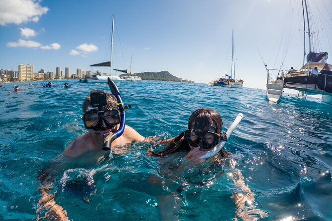 Moana's Guided Turtle Snorkel & Sailing Adventure at Waikiki - Customer Reviews