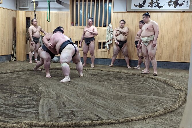 Morning Sumo Practice Viewing in Tokyo - English-Speaking Expert Guide