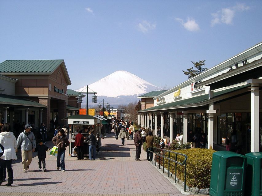 Mount Fuji Panoramic View & Shopping Day Tour - Gotemba Premium Outlets