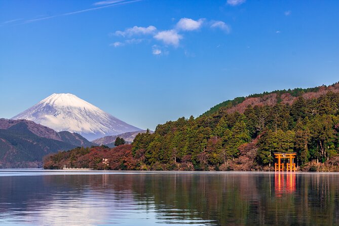 Mt. Fuji and Hakone Day Trip From Tokyo With Bullet Train Option - Hakone Ropeway and Lake Ashi