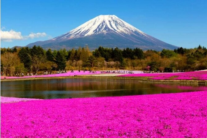 Mt Fuji, Hakone Private Tour by Car With Pickup - Vehicle and Driver