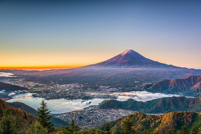 Mt. Fuji or Hakone Private Sightseeing Day Tour From Tokyo - Reservation and Availability