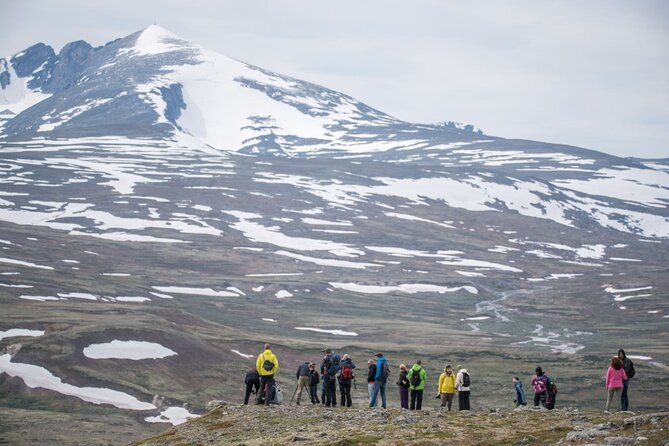 Musk Ox Safari in Dovrefjell National Park From Oppdal - Frequently Asked Questions