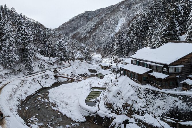 Nagano Snow Monkey 1 Day Tour With Beef Sukiyaki Lunch From Tokyo - Tour Logistics