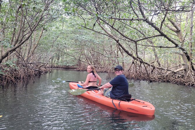 Nature & Island Exploration on SUP/Kayak - Reviews and Feedback