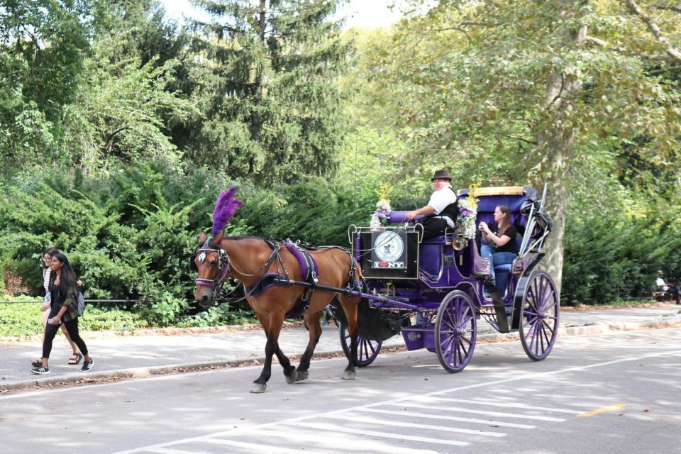 NYC Horse Carriage Ride in Central Park (65 Min) - Booking Requirements