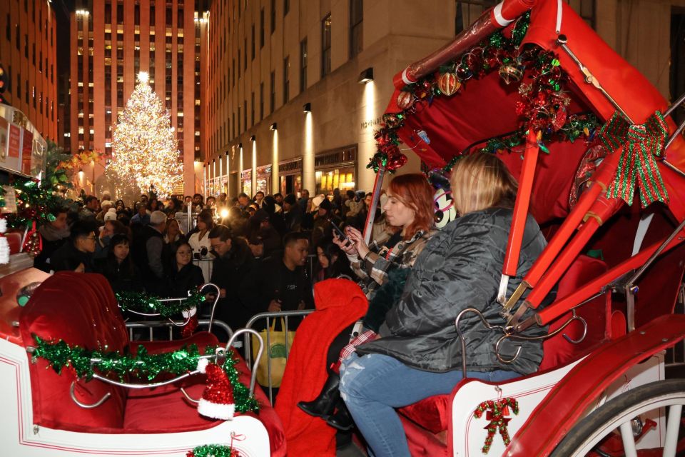 NYC: Magical Christmas Lights Carriage Ride (Up to 4 Adults) - Comfort and Convenience
