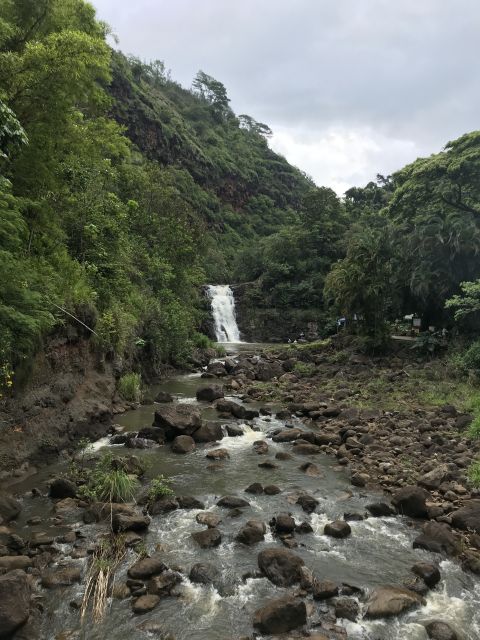 Oahu: Waimea Falls & North Shore Swim With Turtles Beach Day - Pickup Locations