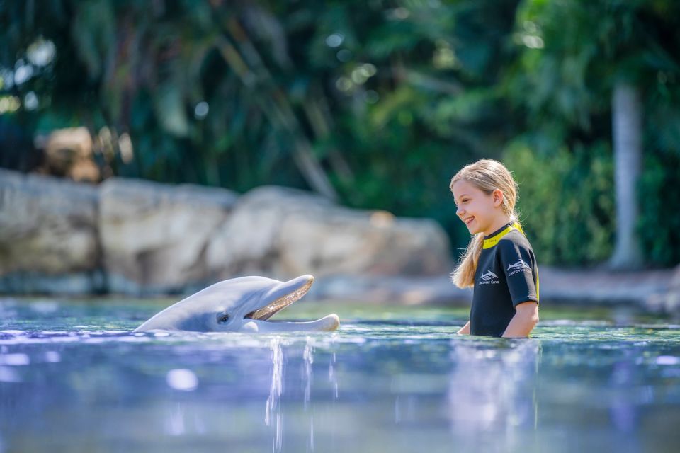 Orlando: Discovery Cove Admission Ticket & Additional Parks - Experiences and Amenities